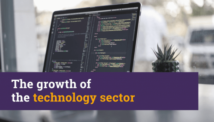 Career growth in tech industry